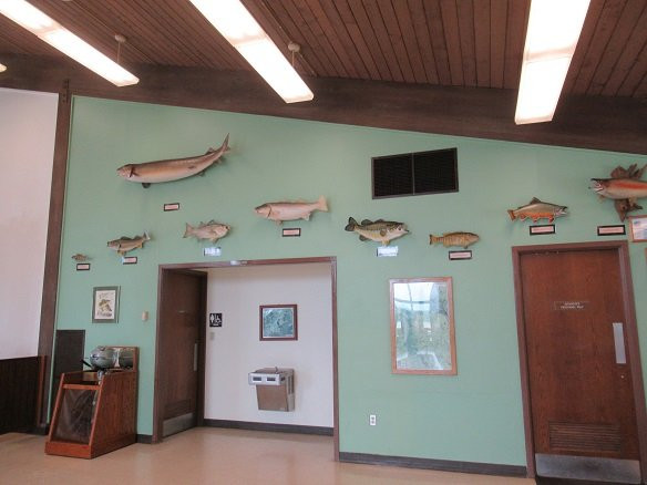 Linesville Fish Hatchery景点图片