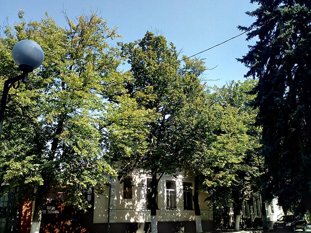 Vasiliy Alekseyev Statue景点图片