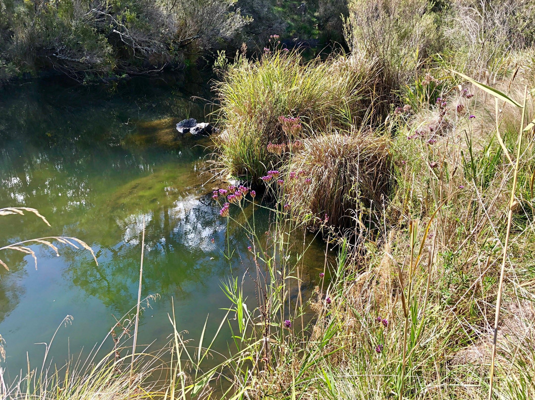 Oxley Wild Rivers National Park景点图片