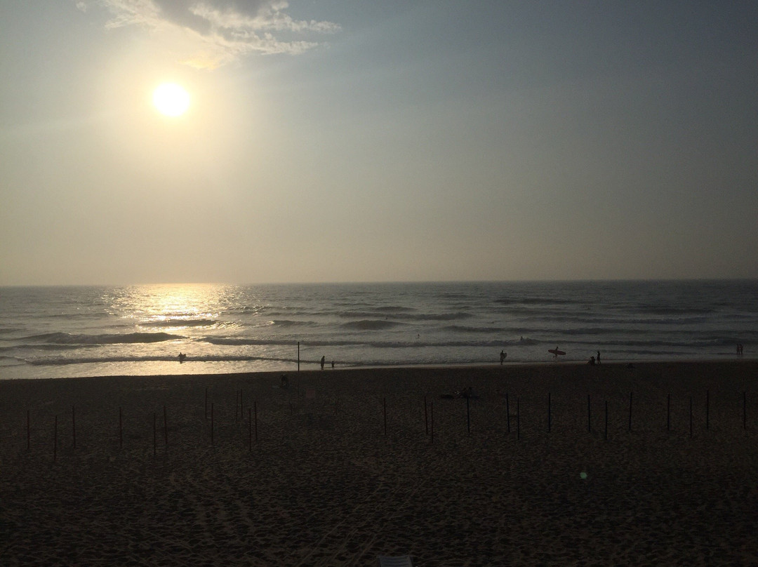 Praia Grande Surf School-科拉雷斯必去景点