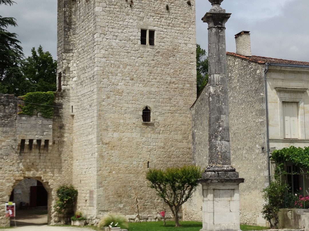 Chateau d'Eymet景点图片