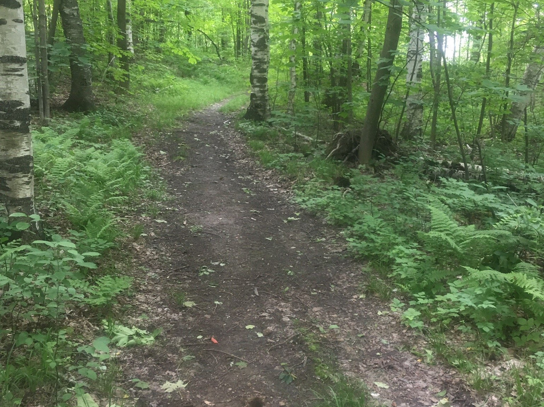 Inn To Inn-Brandon必去景点