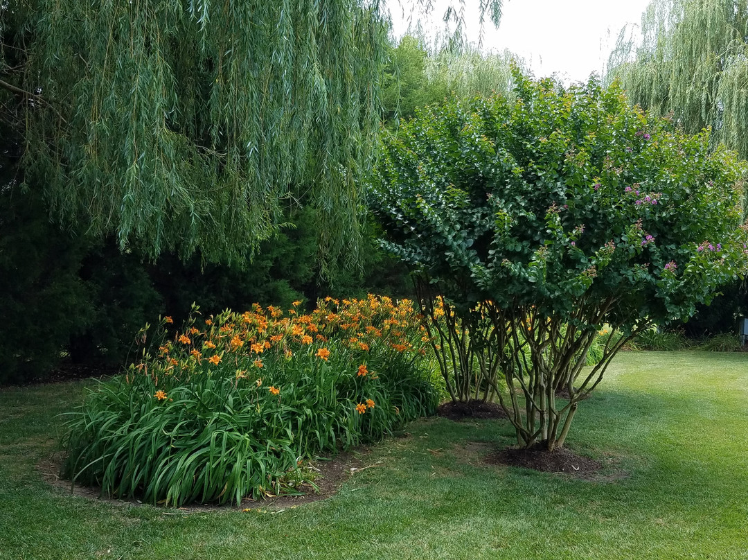 Inn at Huntingfield Creek主图