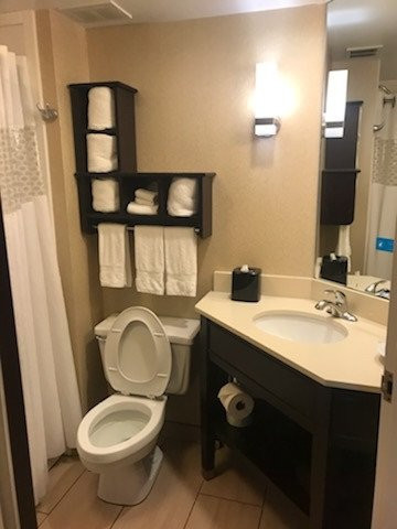 加兹登希尔顿恒庭酒店主图