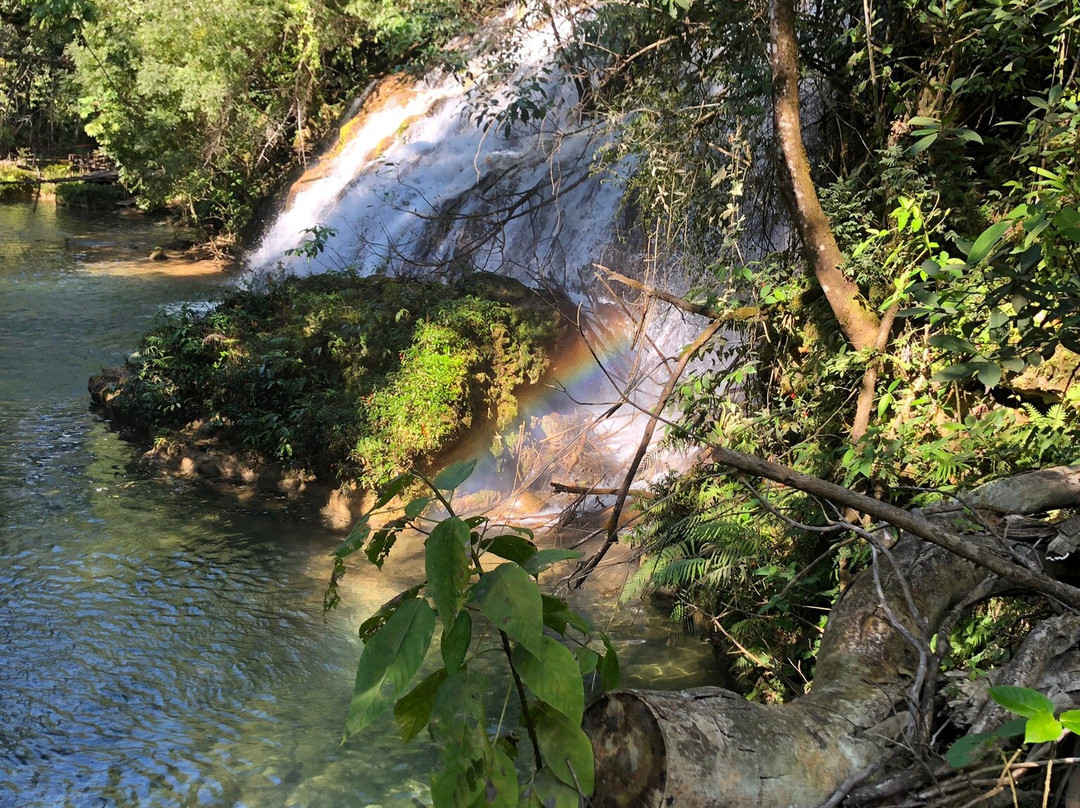 Cachoeiras do Rio do Peixe-Rio Negro必去景点