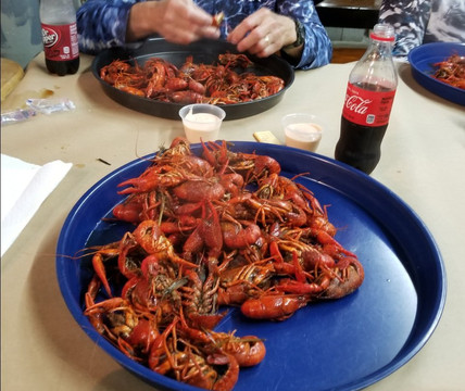 Little Eagle Crawfish