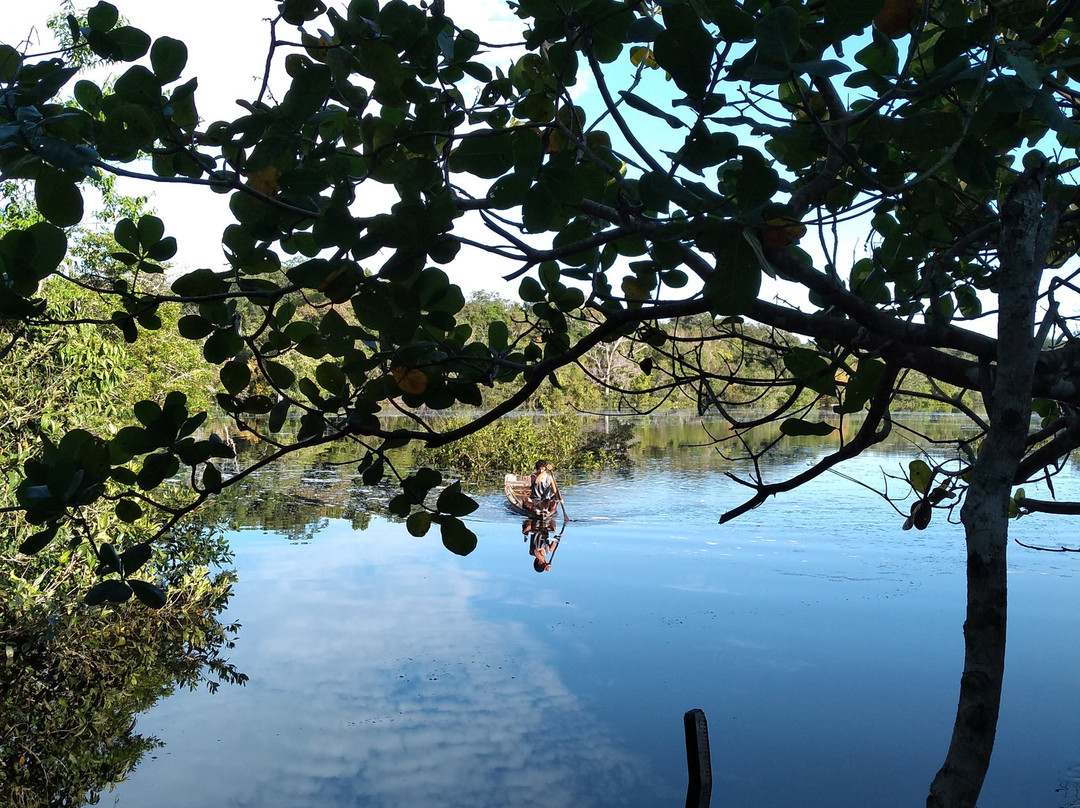 Parque Nacional do Jaú-Novo Airao必去景点