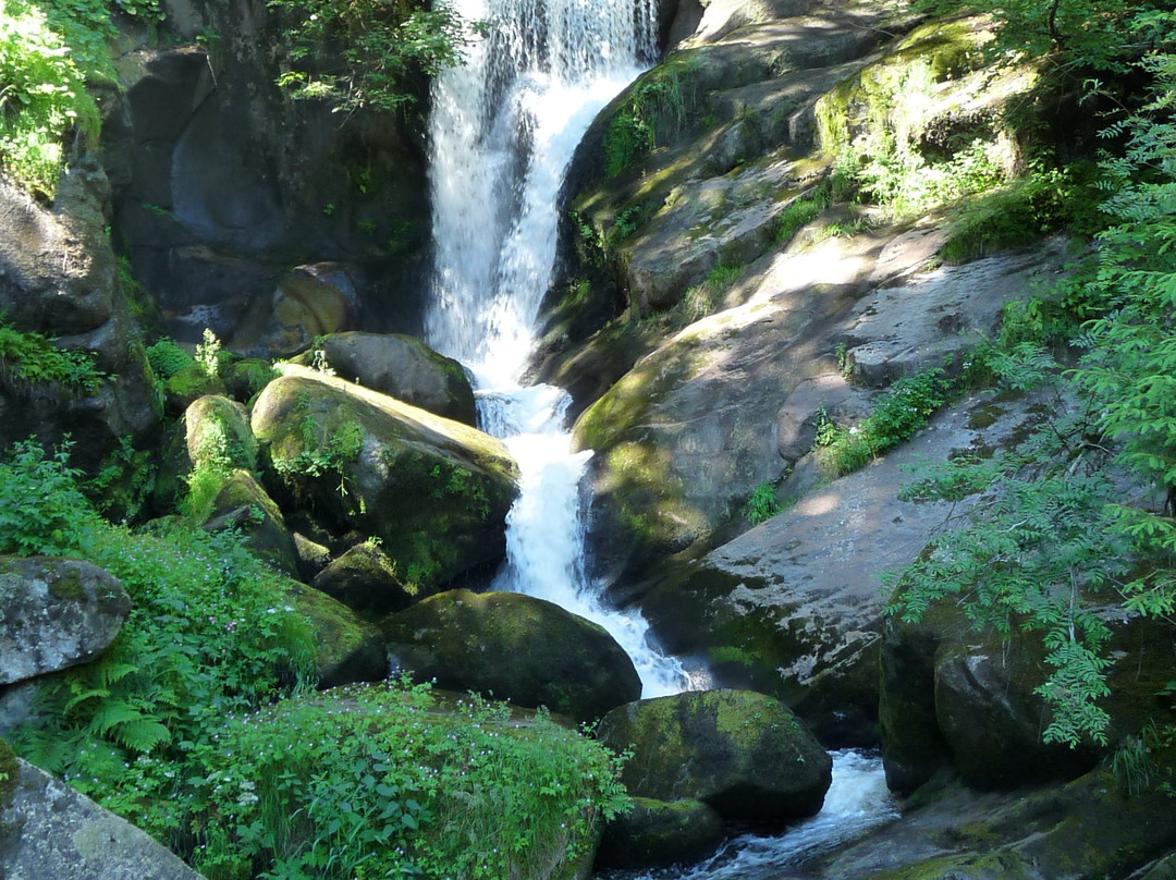Triberger Waterfall景点图片