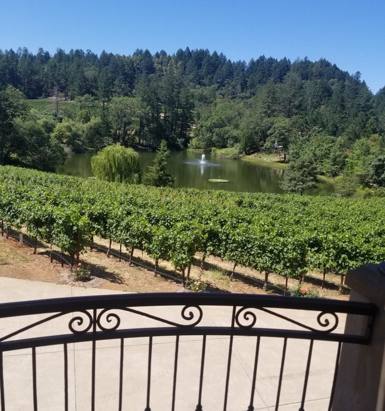 Sherwin Family Vineyards-圣海伦娜必去景点