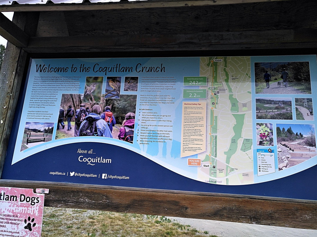 Coquitlam Crunch Trail景点图片