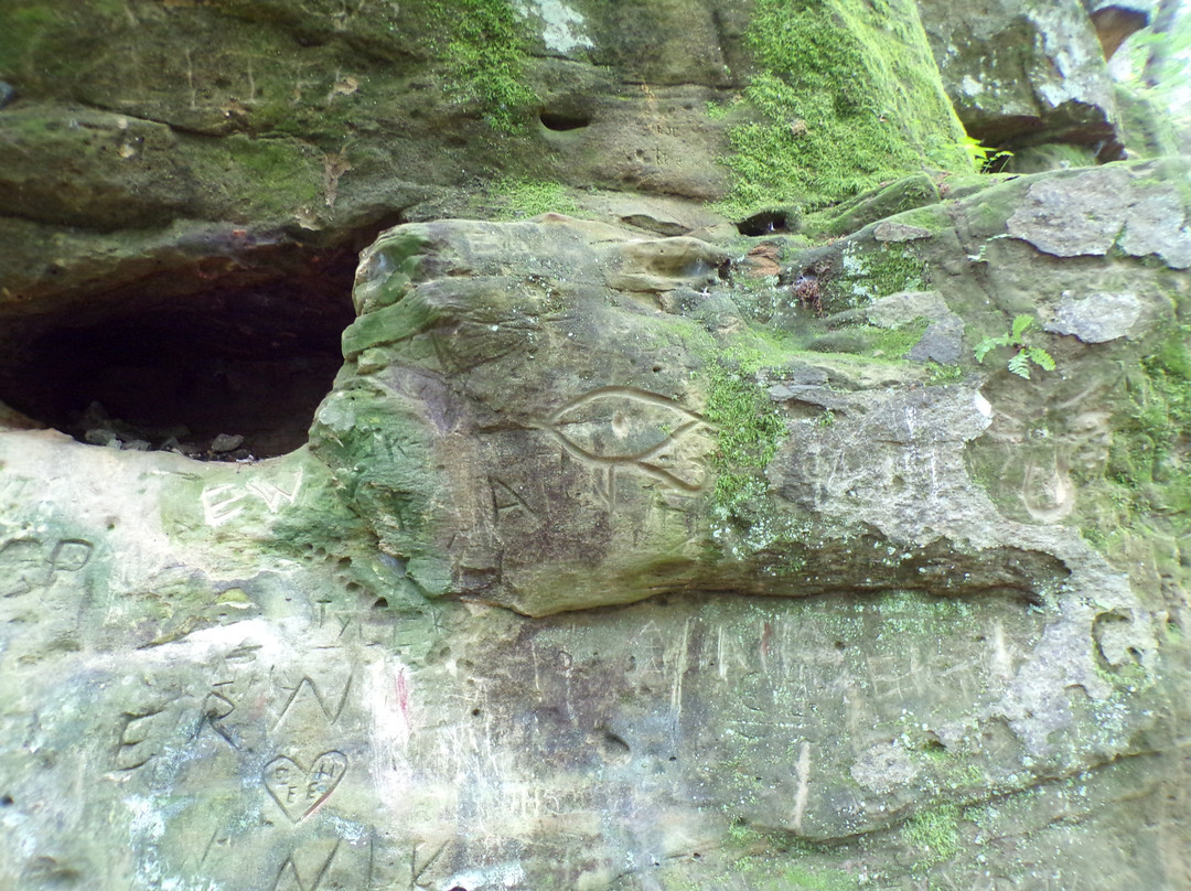 Cave Hollow Park景点图片