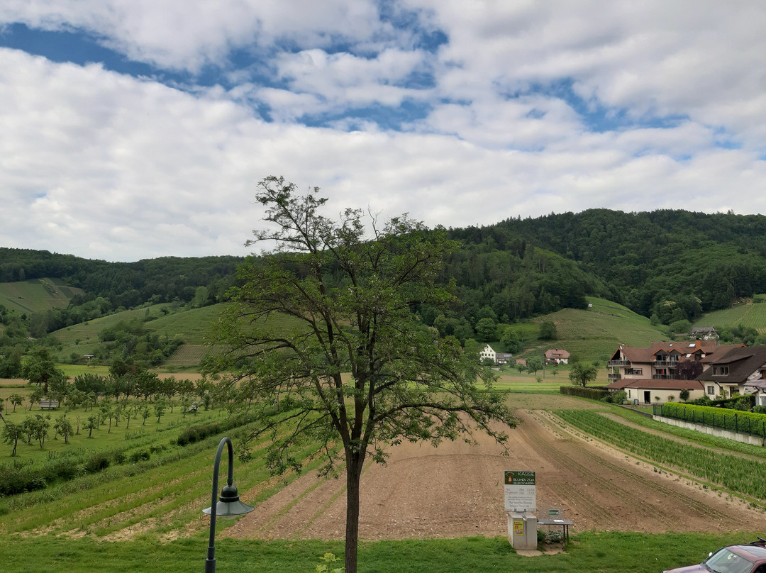 Hotel Schwarzenberg主图