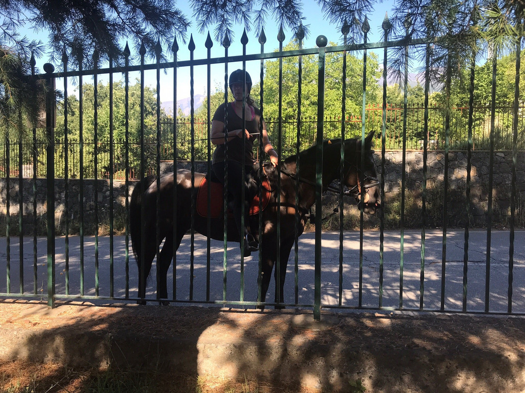 L'Infinito Agriturismo Rooms & Breakfast主图