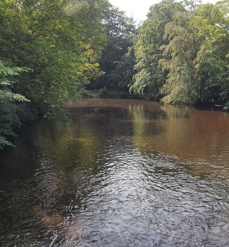 River Nidd Waterside Walk景点图片