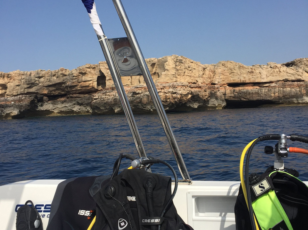 Formentera Divers景点图片