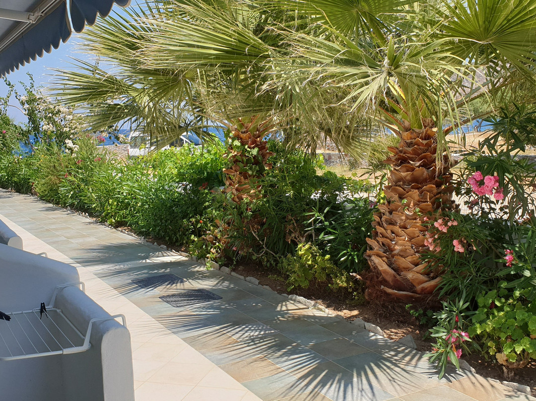 梦之岛公寓式酒店主图