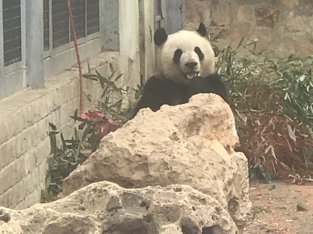 北京濒危动物中心景点图片