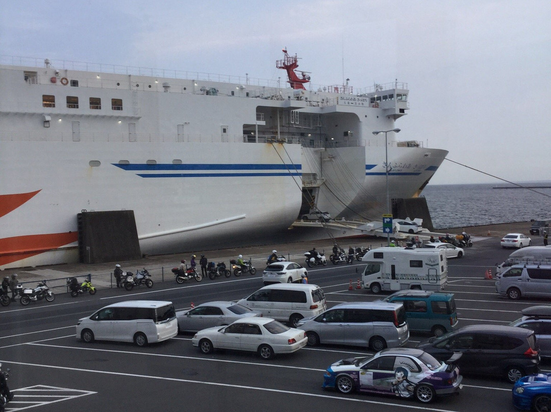 Mol Ferry Sunflower景点图片