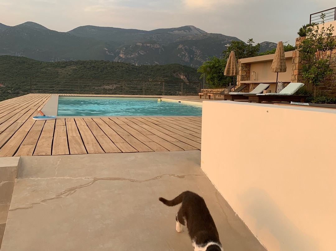 Euphoria Suites主图