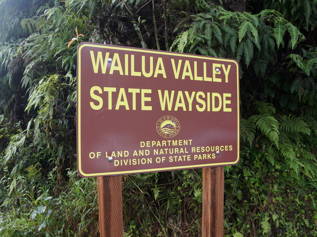 Wailua Valley State Wayside Park-库拉必去景点