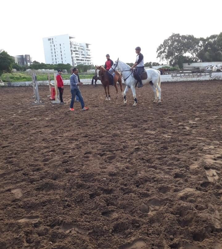 Royal Club Equestre Anfa景点图片