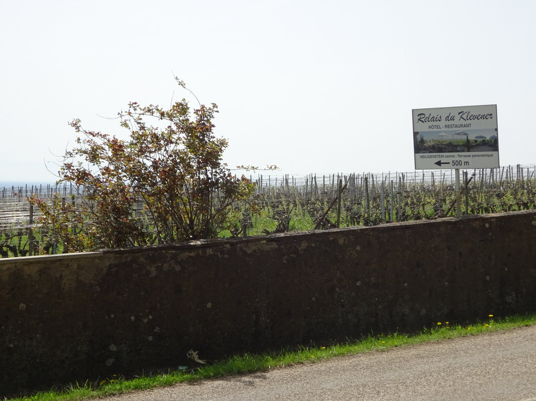 Relais du Klevener主图
