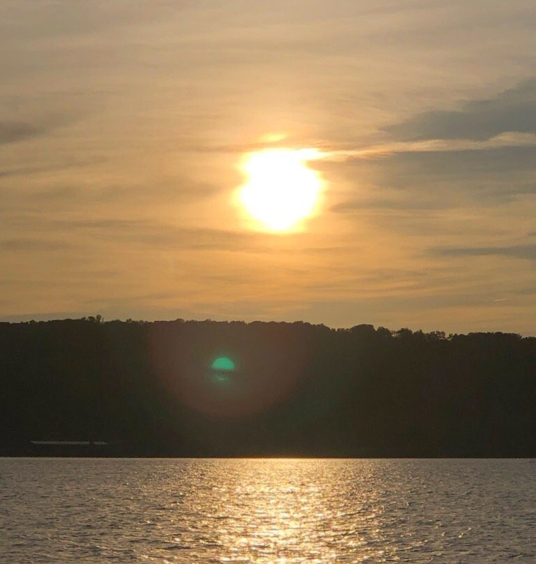 Black Swan Sailing - Day Tour-Kingston必去景点