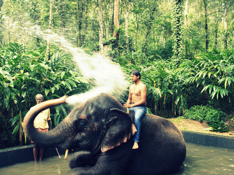 Delight Vacations-阿格拉必去景点