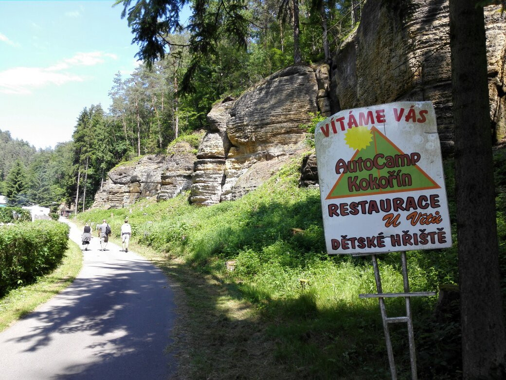 AutoCamp Kokorin