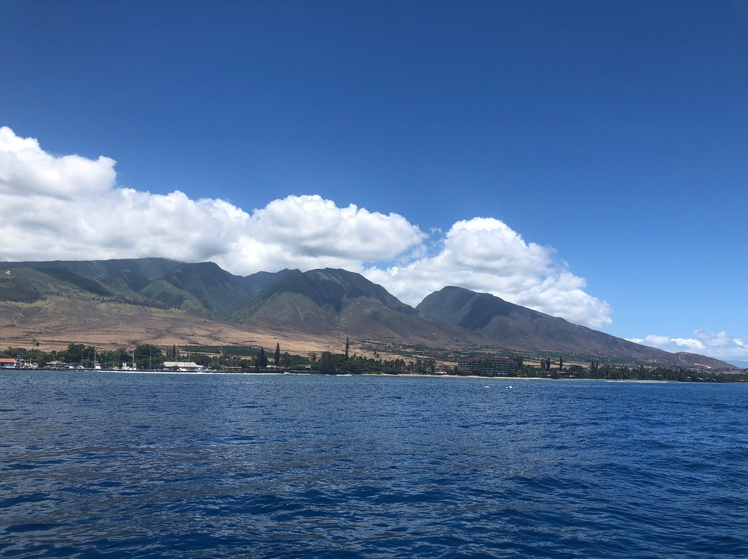 Quicksilver Maui Snorkeling Charters景点图片