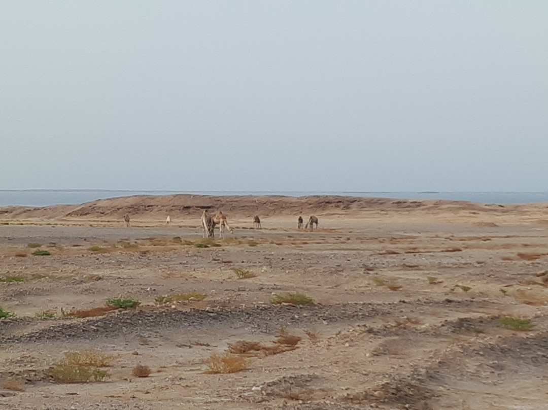 Sharm El Luli景点图片