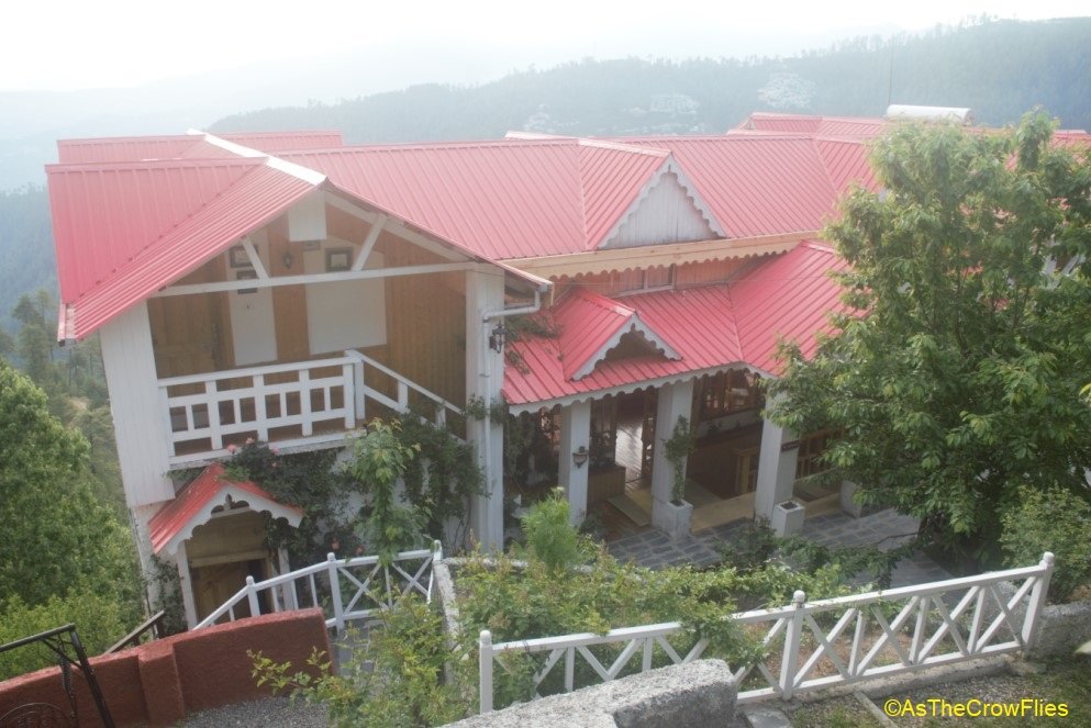 The Wilderness-餐饮