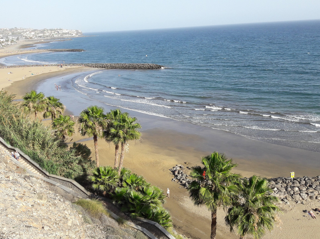 卡纳里亚海滩散步道景点图片