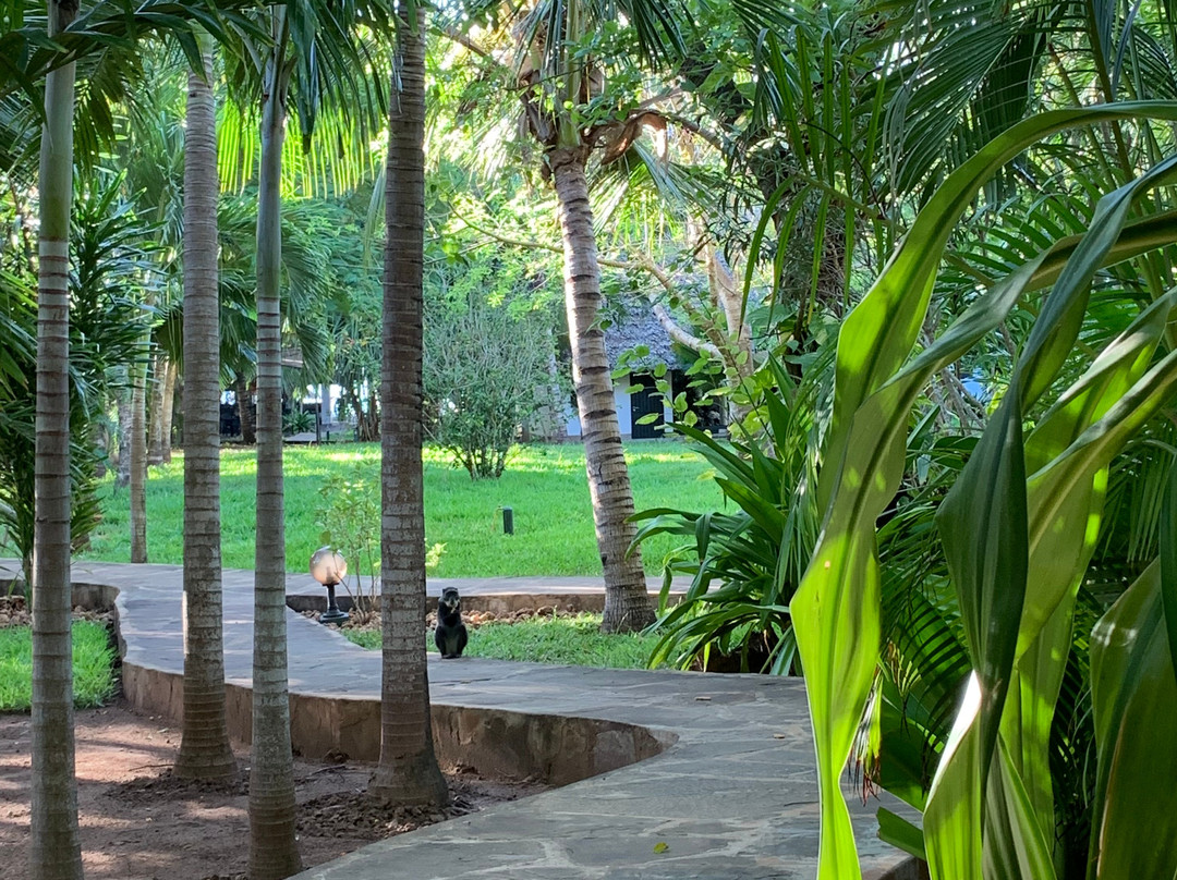 Diani Beach Club主图