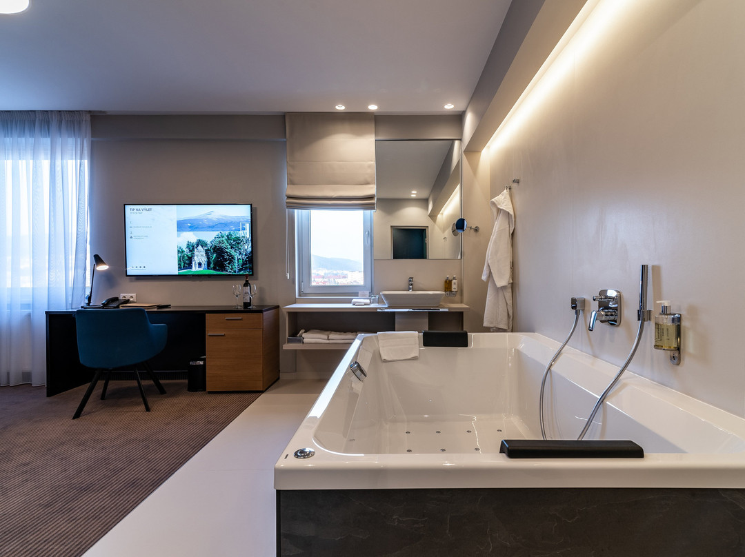 Hotel Karpatia主图
