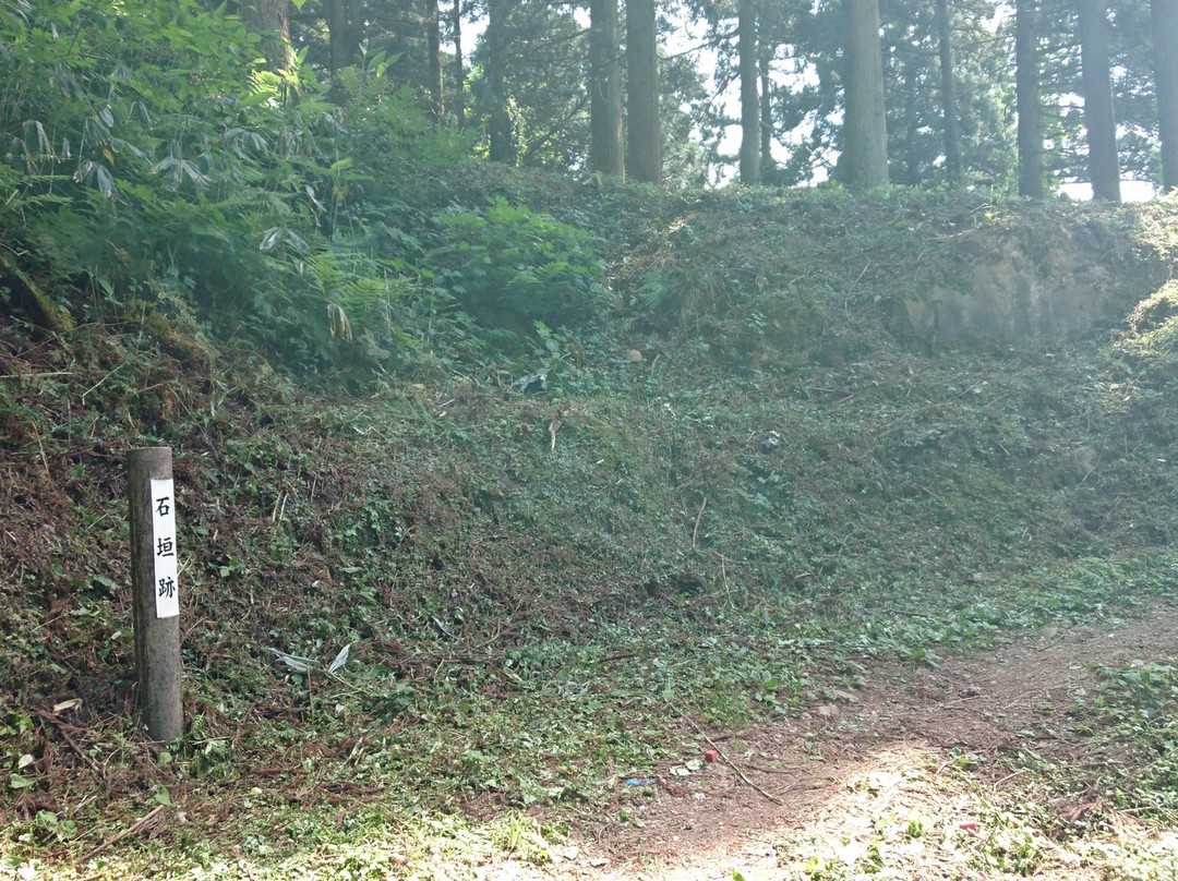 Masuyama Castle Ruins景点图片