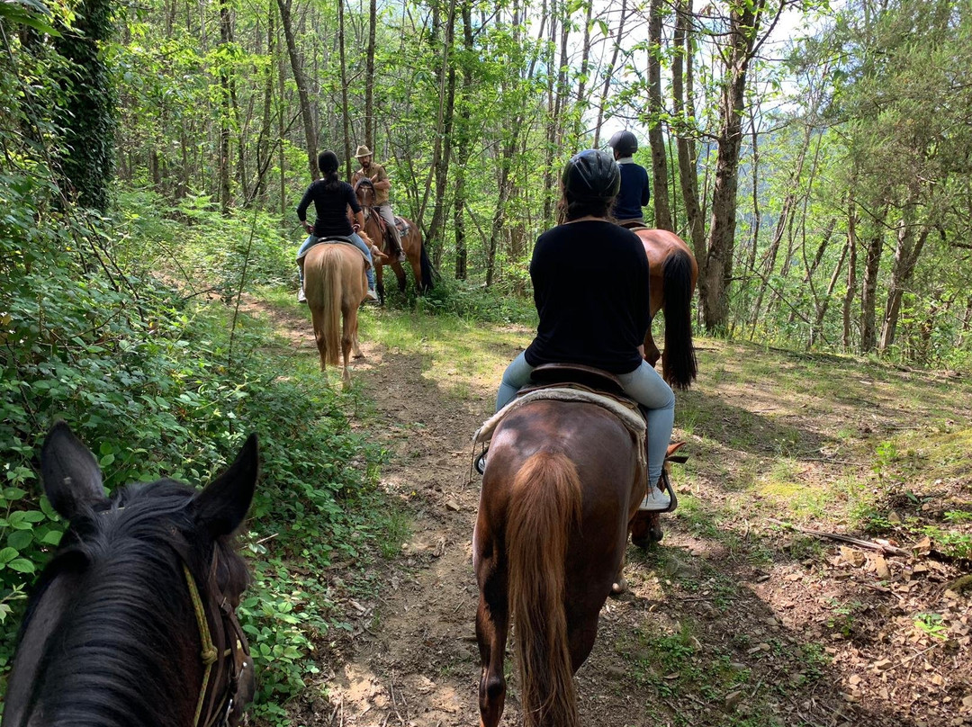Ruscello Ranch-Bagni di Lucca必去景点