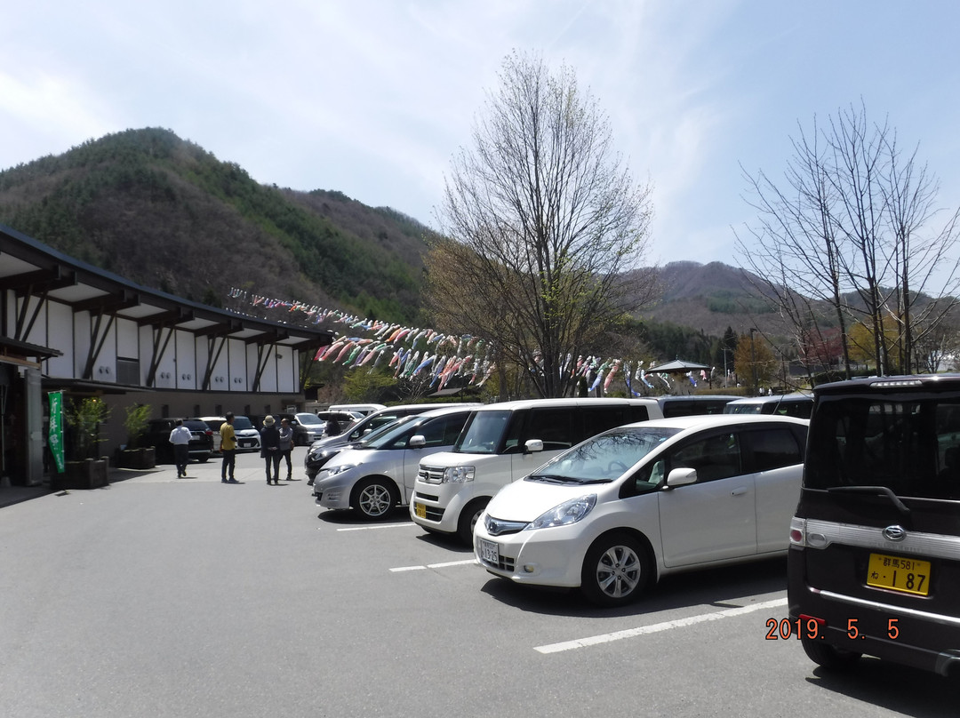 Station of Flower Katashina Hanasaku no Yu景点图片