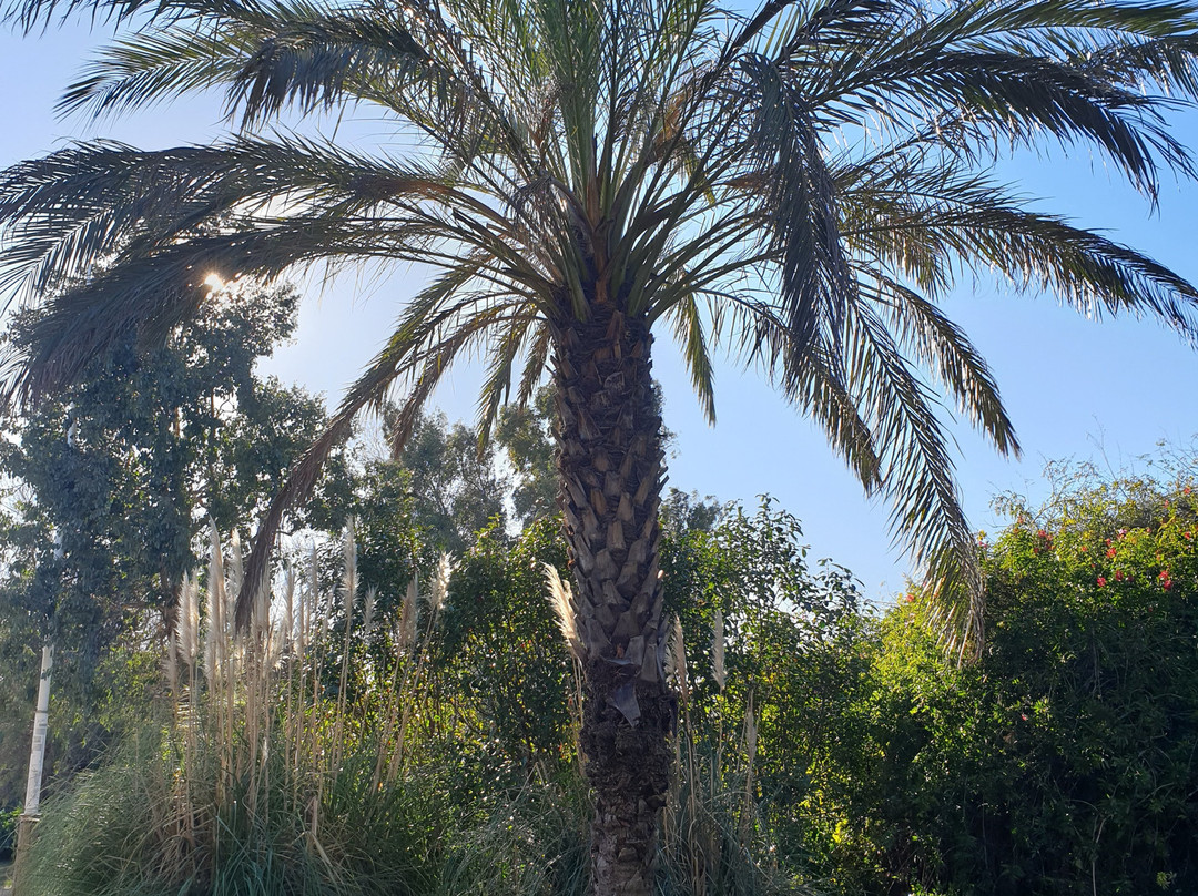 Bureau d'Informations Tourisme La-Seyne-Sur-Mer - Les Sablettes-滨海拉塞纳必去景点