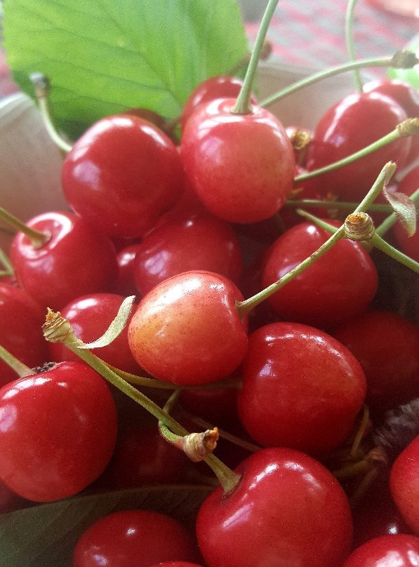 La Casa Nella Prateria B&B主图