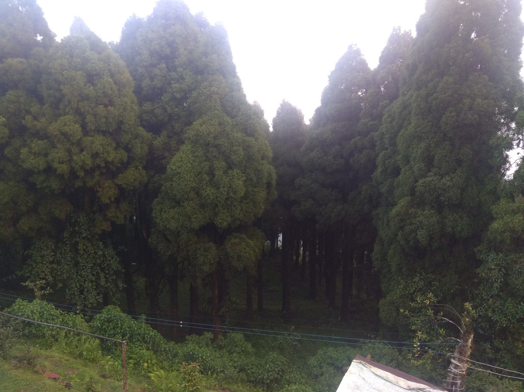Lepchaview Home Stay