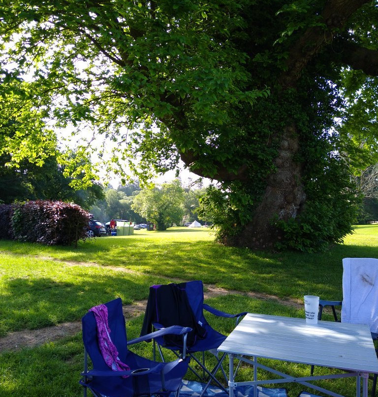 River Dart Country Park
