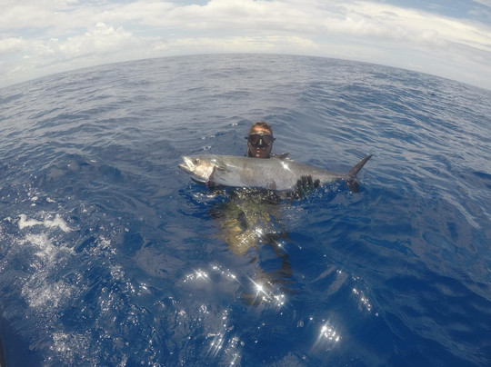 Rincon Boat Charters-吕康必去景点