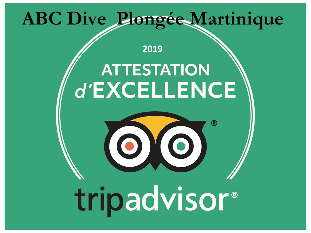 Abc Dive-Trois-Ilets必去景点