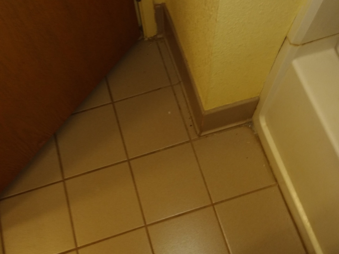 Howard Johnson by Wyndham Spartanburg - Expo Center主图