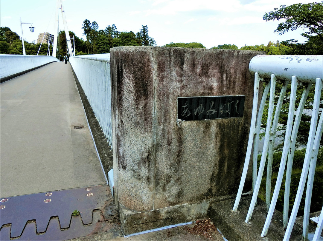 Ayumi Bridge-青梅市必去景点