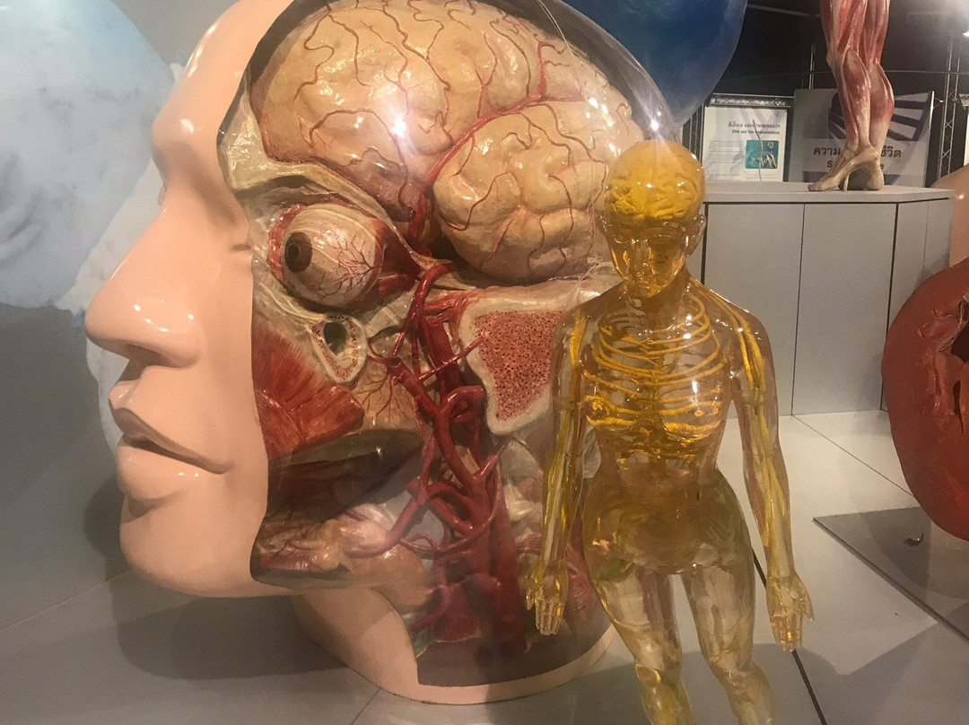 国立科学博物馆-曼谷必去景点