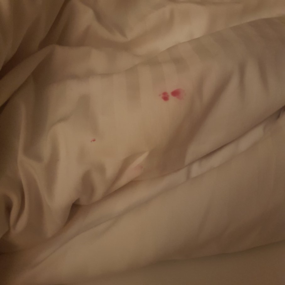 康瑟尔鲁昂1号酒店-官方