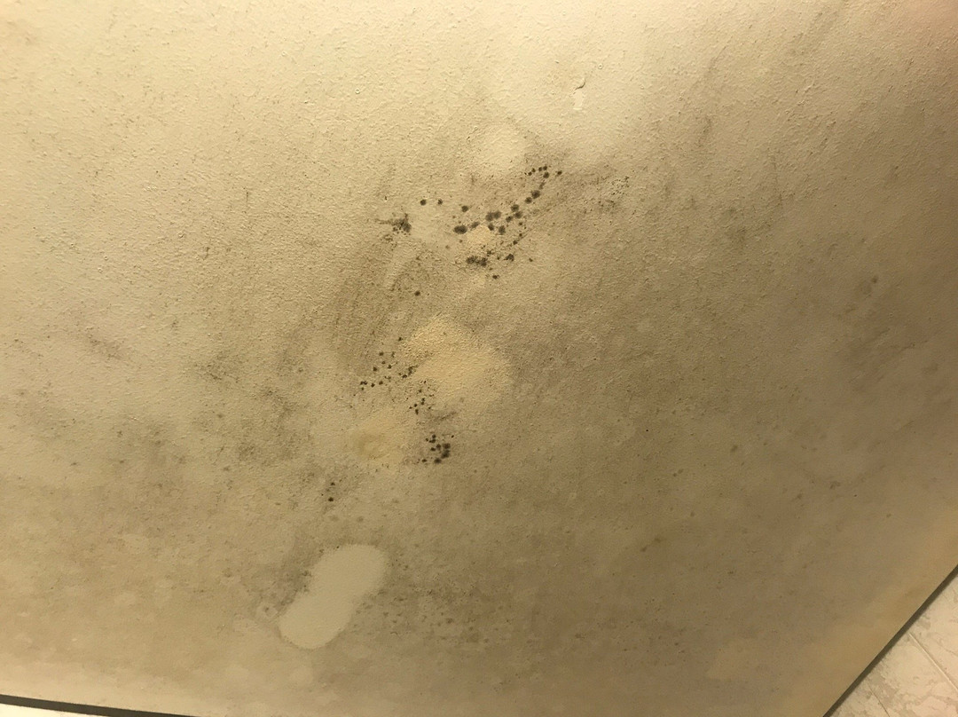 民都鲁园市艾佛利酒店主图