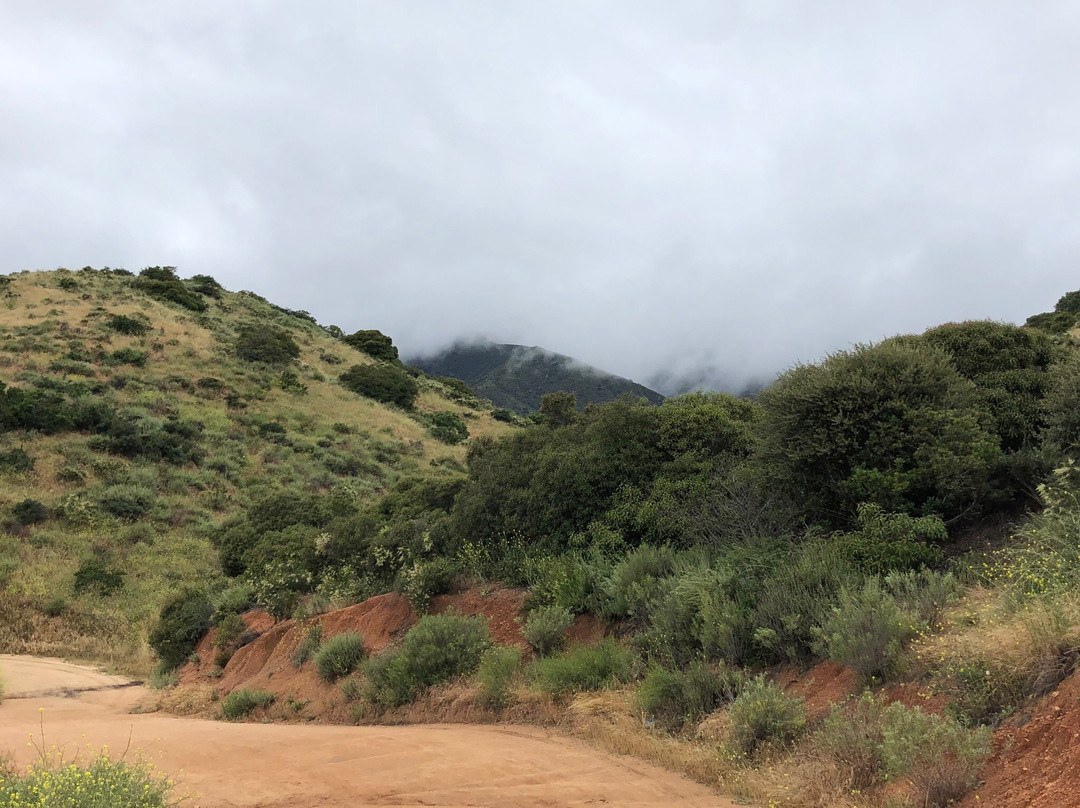 Claremont Hills Wilderness Park景点图片